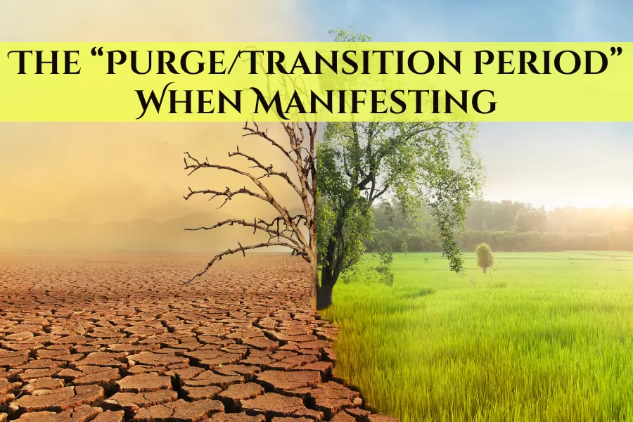 Purge/Transition Period when Manifesting
